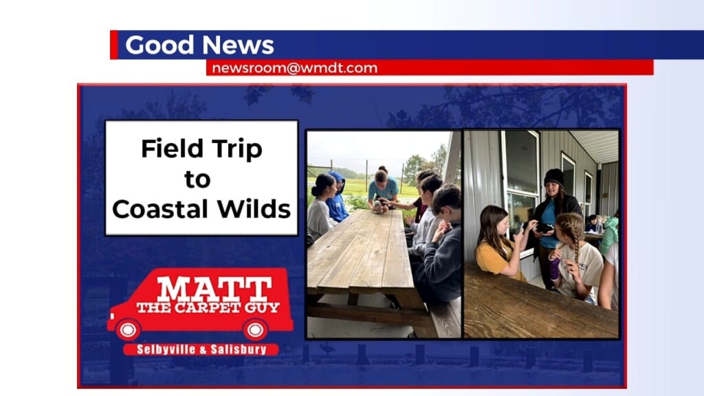 Good News Late 6.19.25