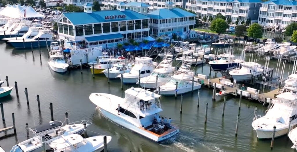 Oc Tuna Tournament