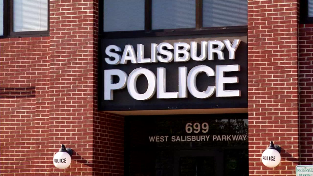 Sbypolice