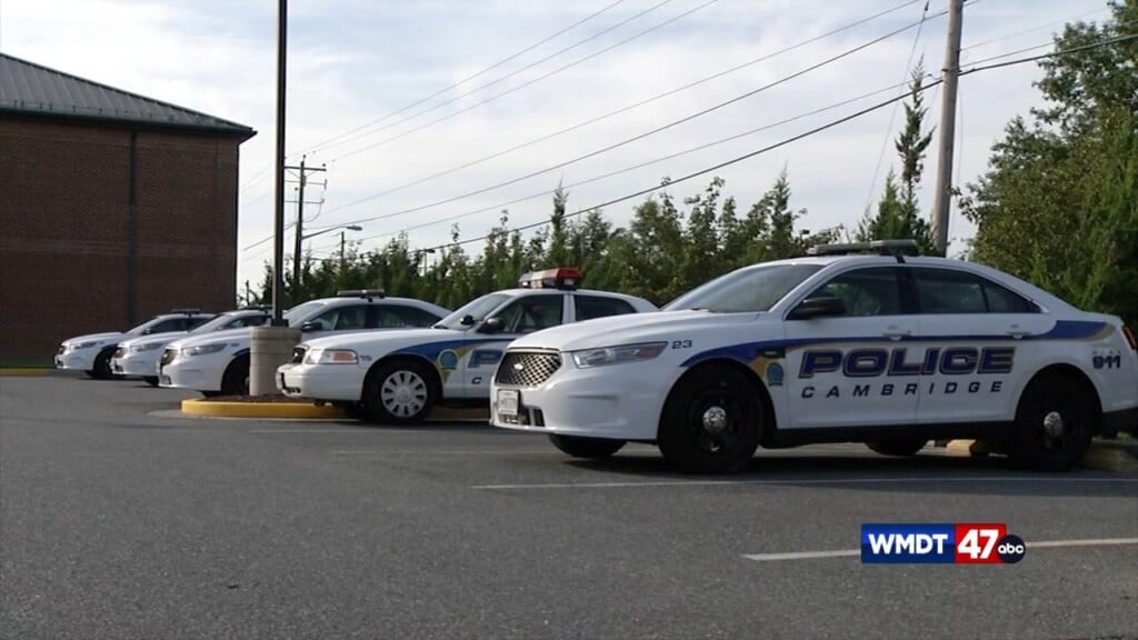 Cambridge Homicide Update
