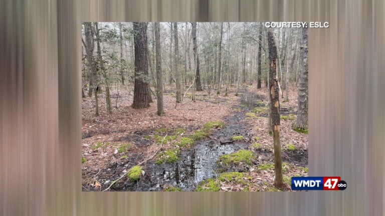 Land Easement To Become Park