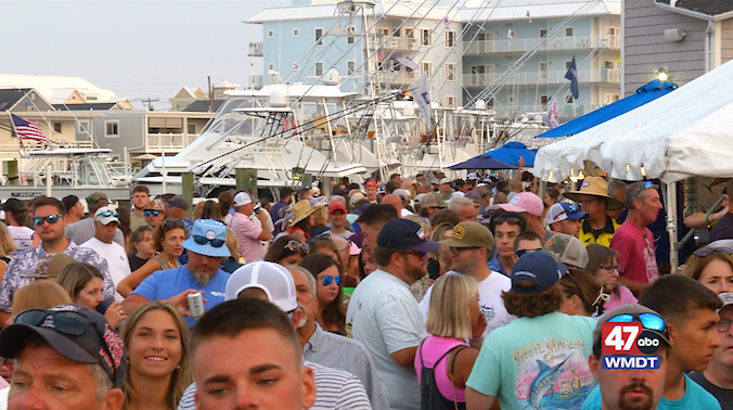 White Marlin Open Day One 8 4 25