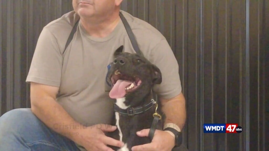 Crisfield Pd Welcomes New K 9