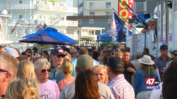 White Marlin Open Day 4