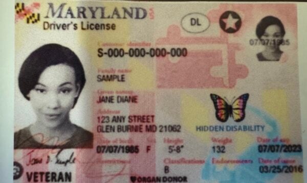 Sample Id Eric Id Law