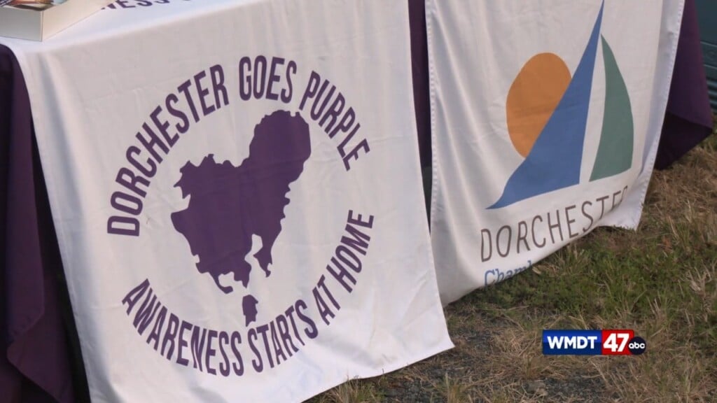 Dorchester Goes Purple