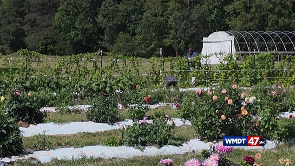 Umes Hosts Horticulture Workshop
