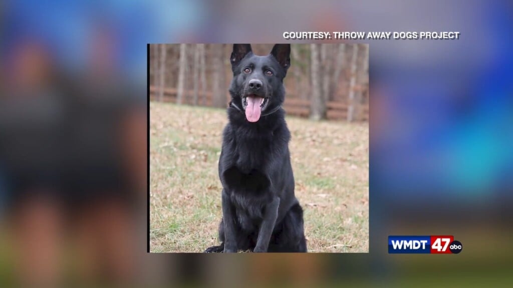 K9 Death Investigation Update