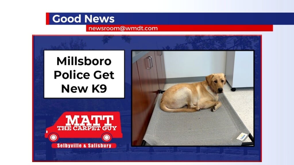 Good News K9