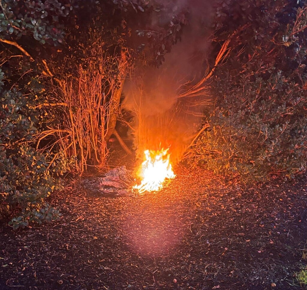 Brush Fire