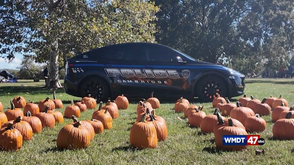 National Night Out In October