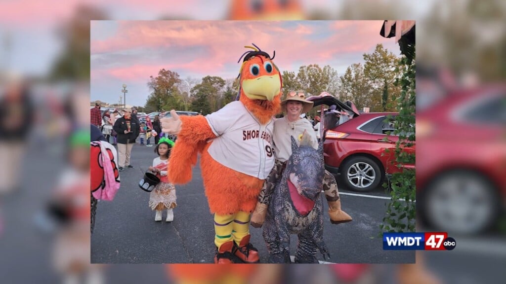 Health Beat: Trunk Or Treatgmd 10/20
