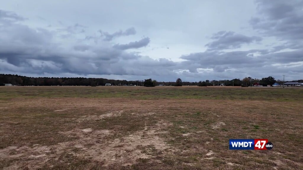 Cheer Groundbreaking