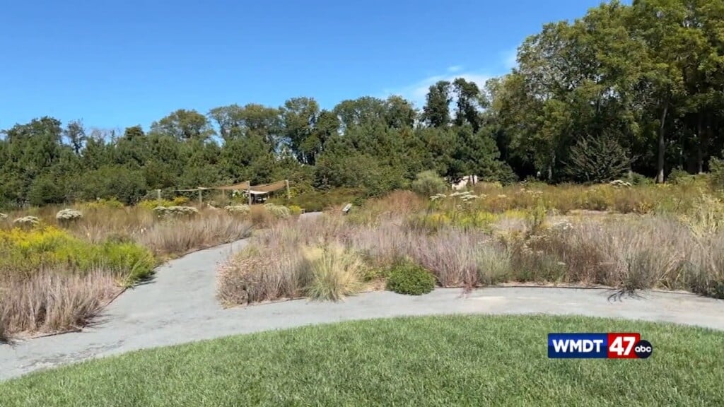 Live Green: Debotanicalgardens 10/28 Gmd