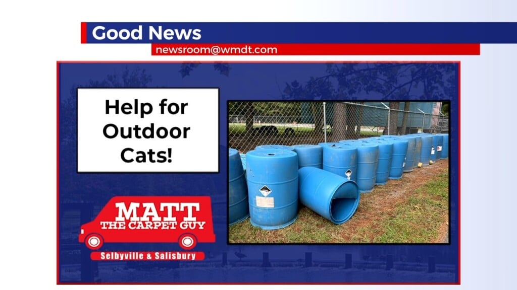 Good News Help For Outdoor Cats