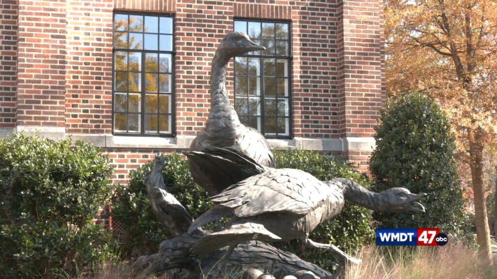 54th Annual Waterfowl Festival