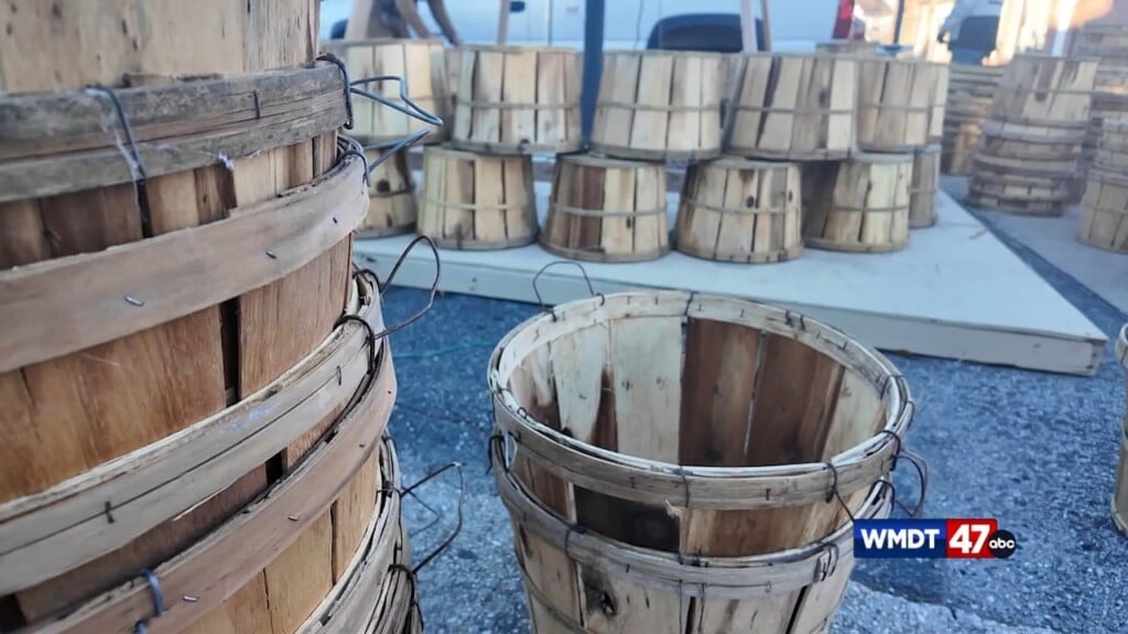 Building The Crab Basket Tree