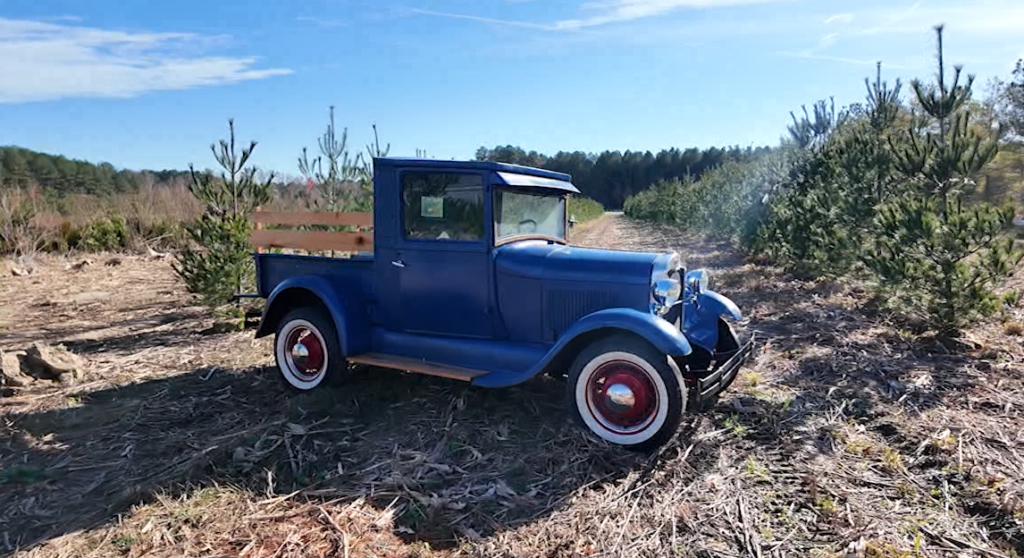 Screenshot 2025 11 24 081548