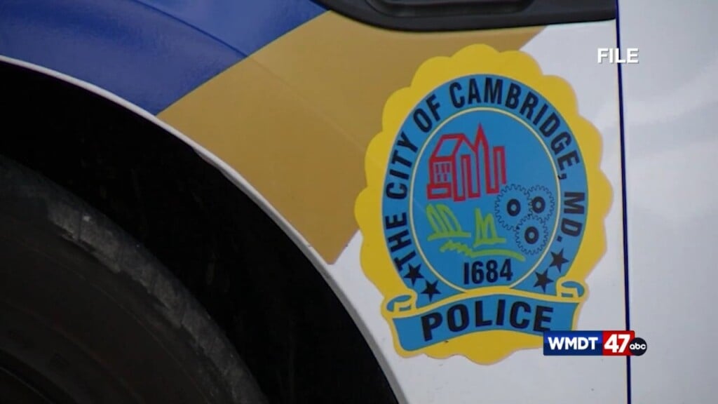 Assasult Victims Speak Up