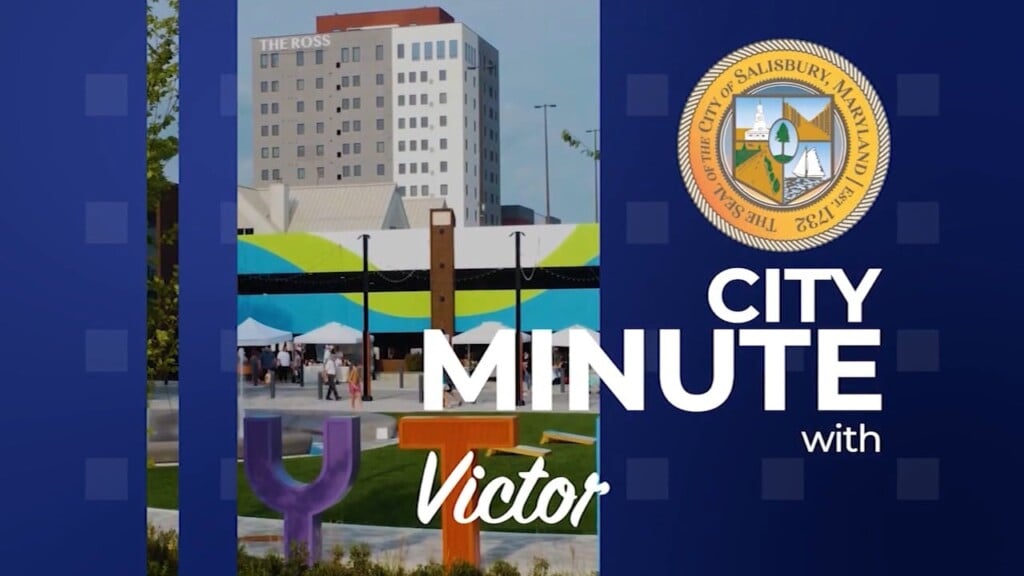City Minute 11/20 Gmd