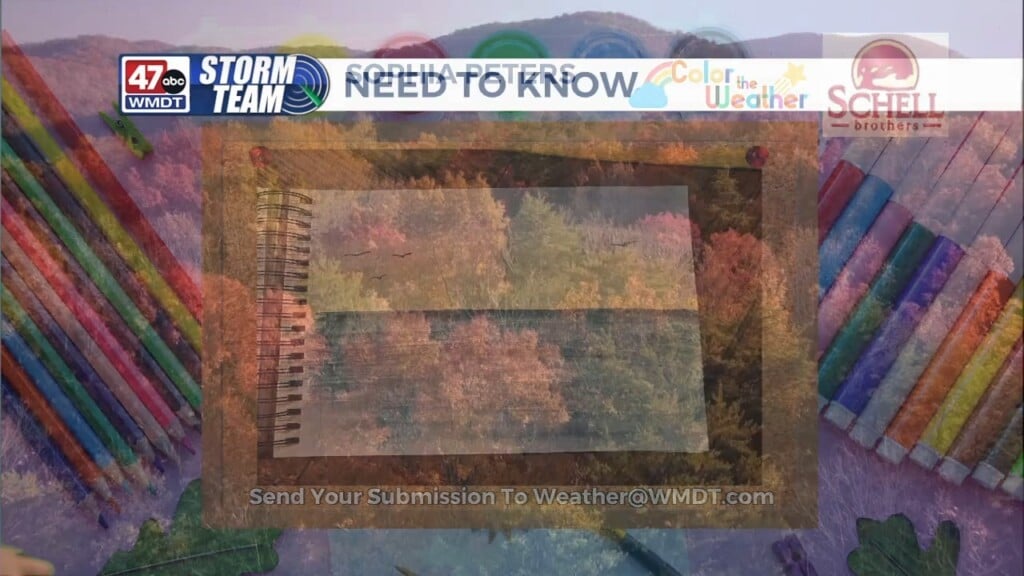 Morning Forecast 11/14/25