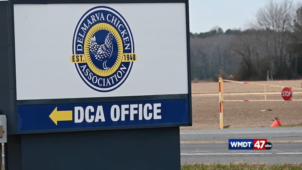 How To Protect From Bird Flu