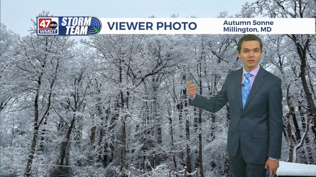 Overnight Forecast (12/15/25)