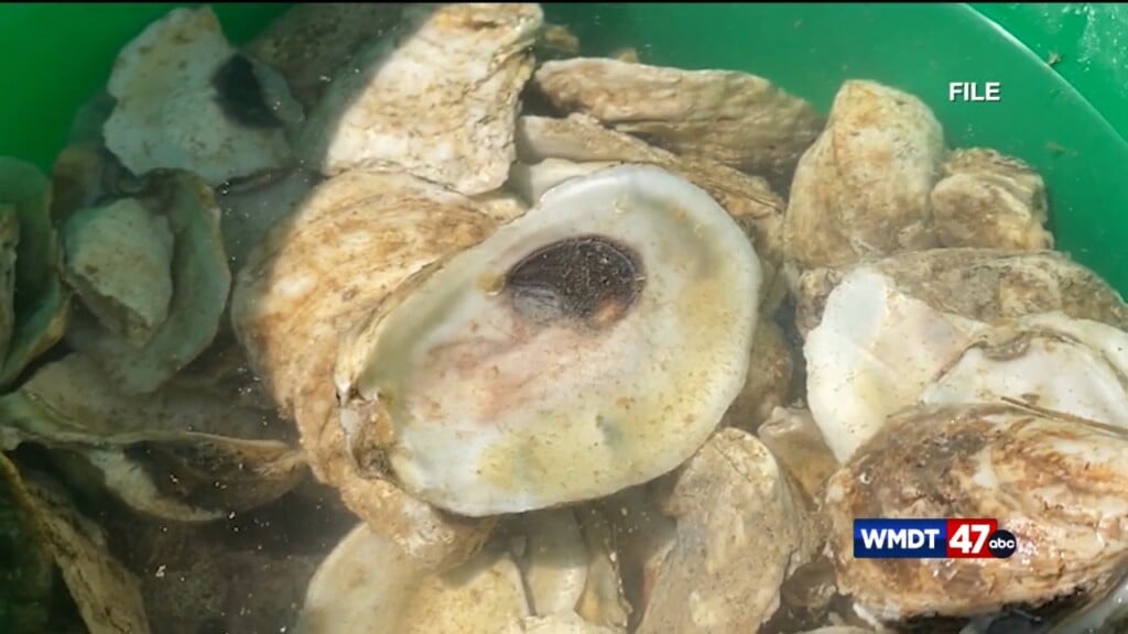 Push To Buy More Oysters