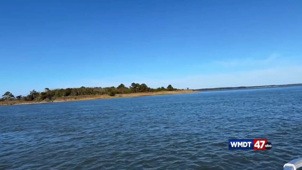 Live Green: Thompson Island Gmd 12/02