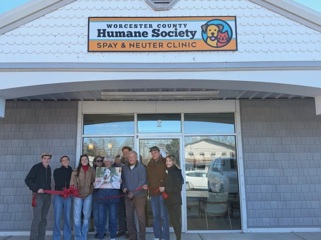 Bluebell Imaging Room 2