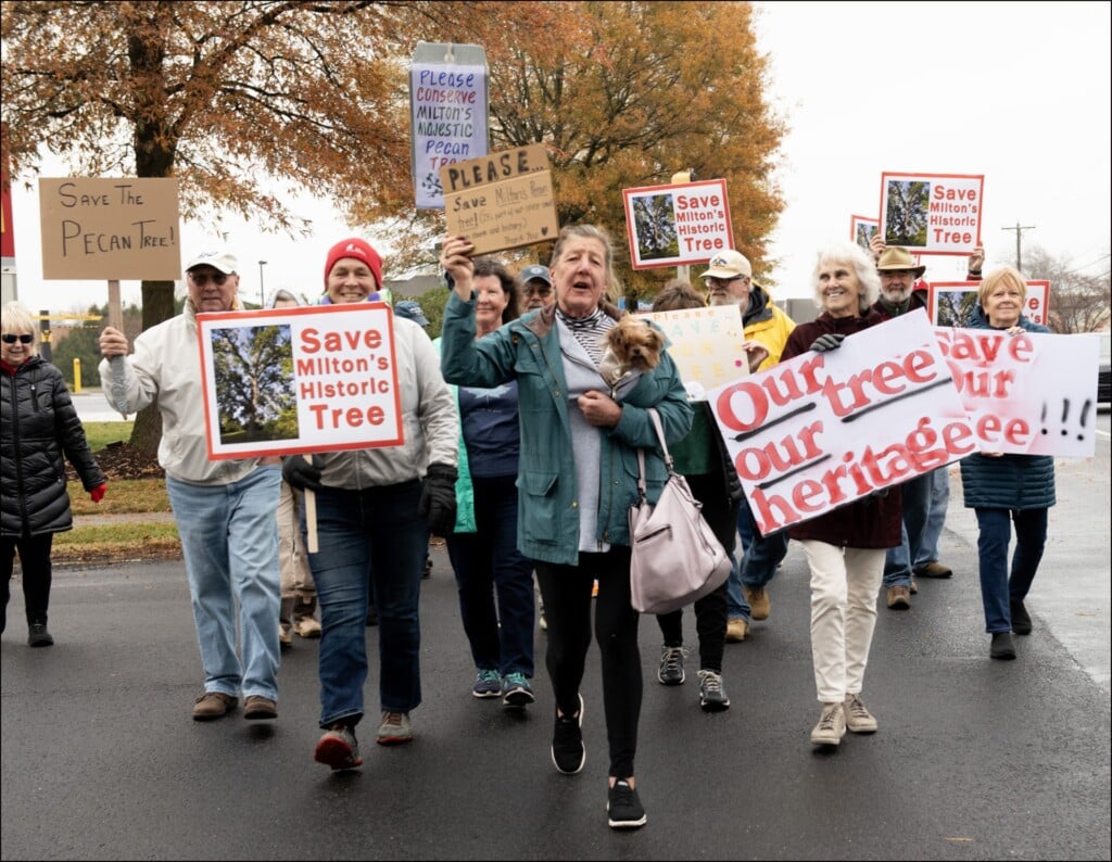 Thumbnail Tree Street Kf10049 200 Tv