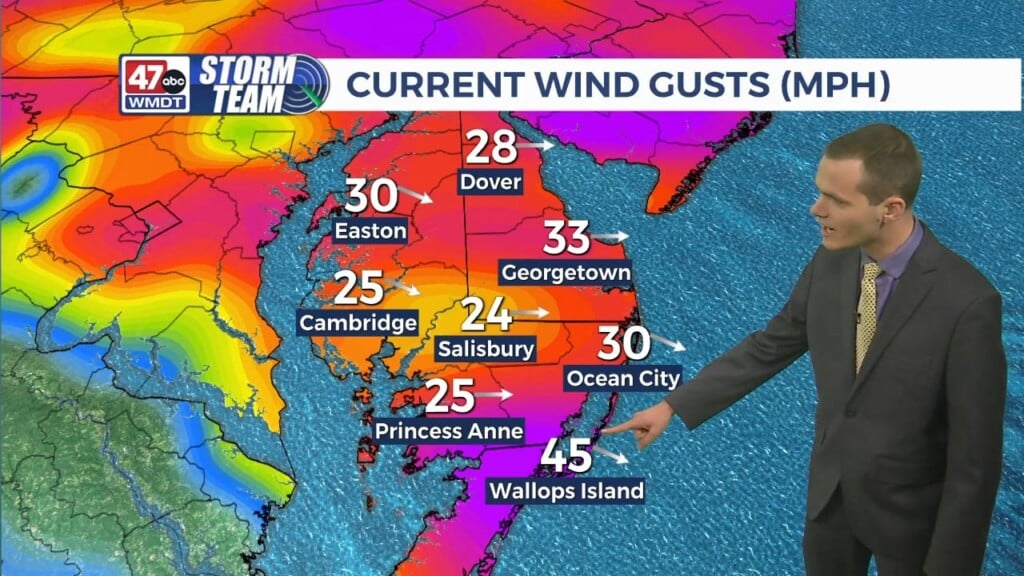 Afternoon Forecast (12/30/25)