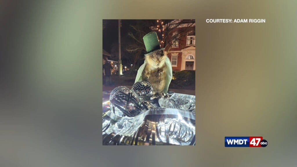 Getting Muskrat Ready