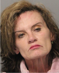 Lisa Savage Mugshot 241x300