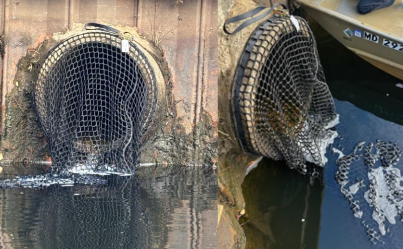 Screenshot 2025 12 22 180426