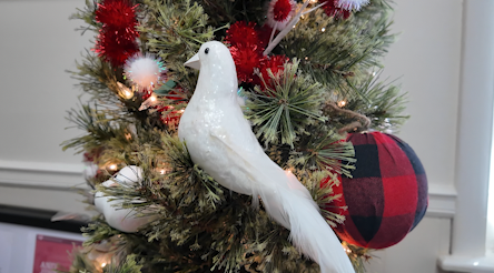 Screen Shot 2025 12 18 At 50648 Pm