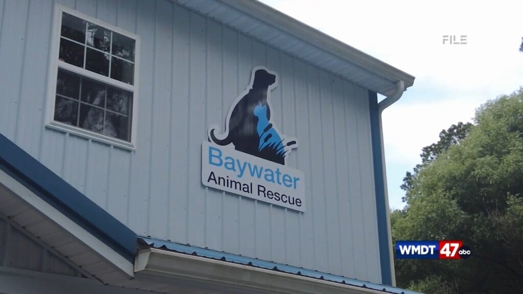 Baywater Nears Milestone