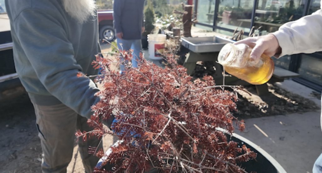 Screenshot 2025 12 20 At 23103pm