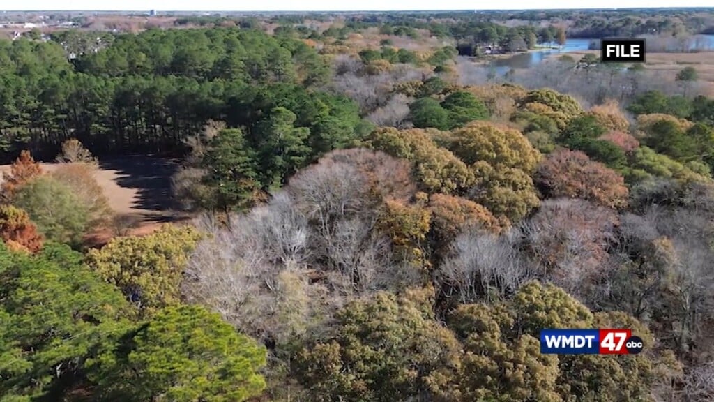 Wicomico Recieves Grant