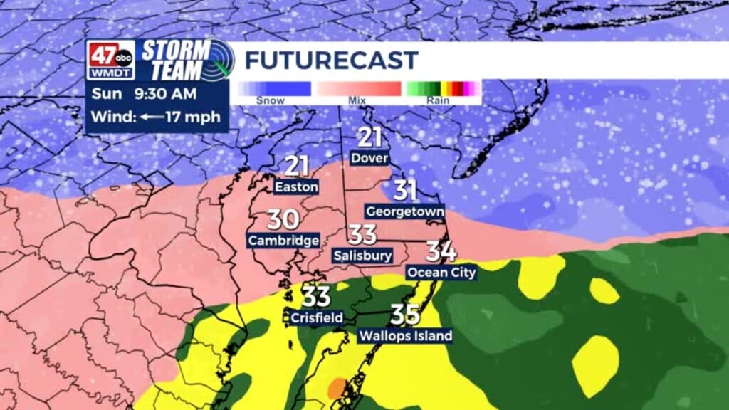 Evening Forecast (01/24/26)