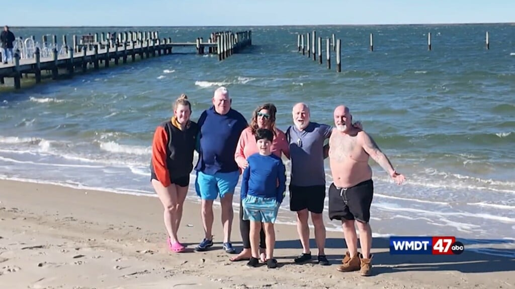 11th Annual Oyster Dip