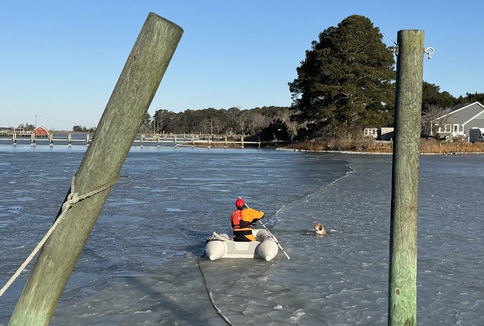 622378991 1222835150048359 1726889738562087972 N