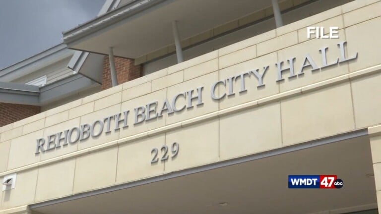 Looking Into Light Pollution