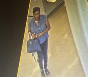 0dffd5f4 Fa4f 40c4 A6a5 053ecbf27041