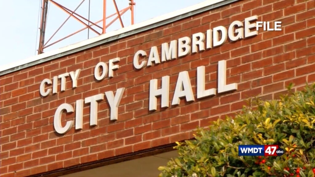 Cambridge Offers Tree Disposal