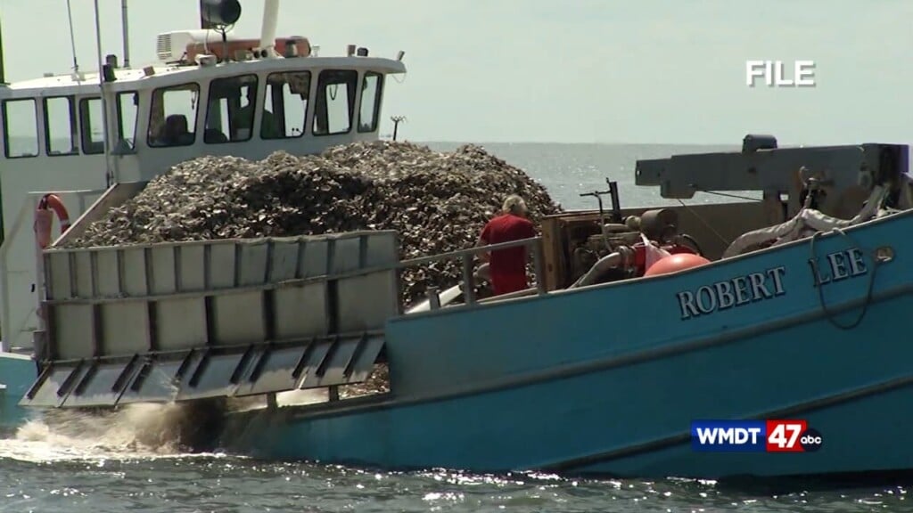 Bay Agreement Finishes