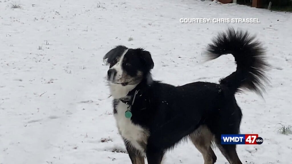 Local Author Recognized