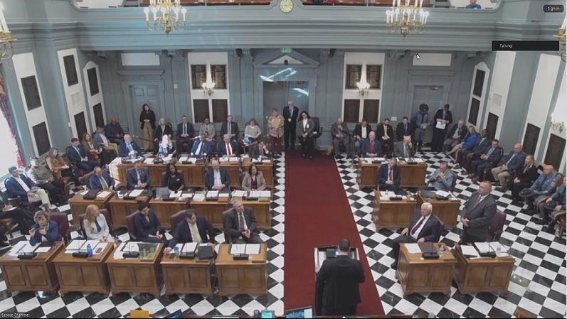 Delaware General Assembly Senate Floor