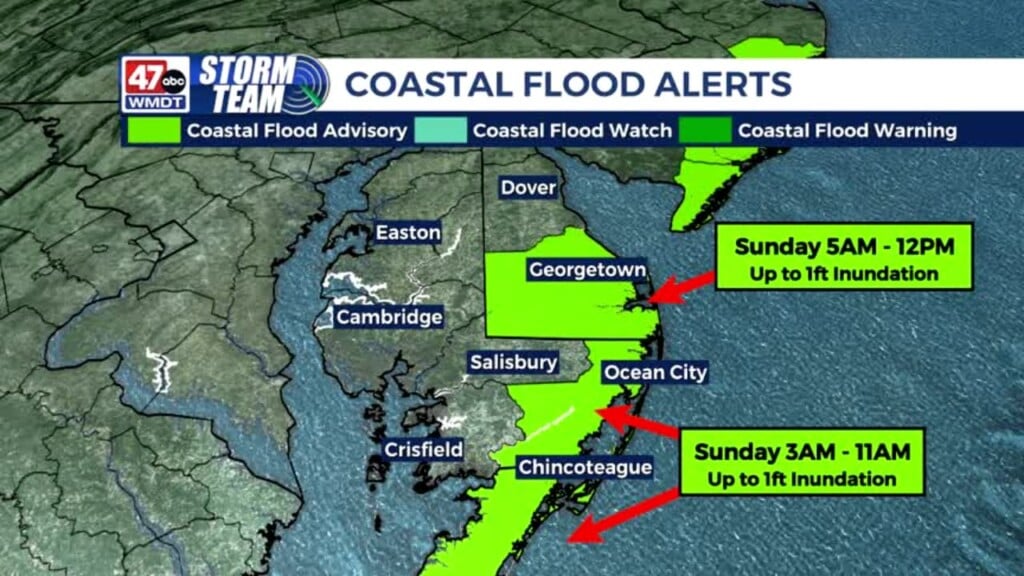 Morning Forecast (01/31/26)