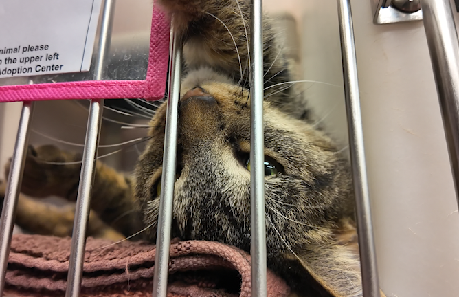 Screen Shot 2026 01 27 At 50852 Pm